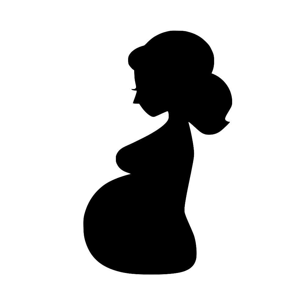 NutriMom Logo